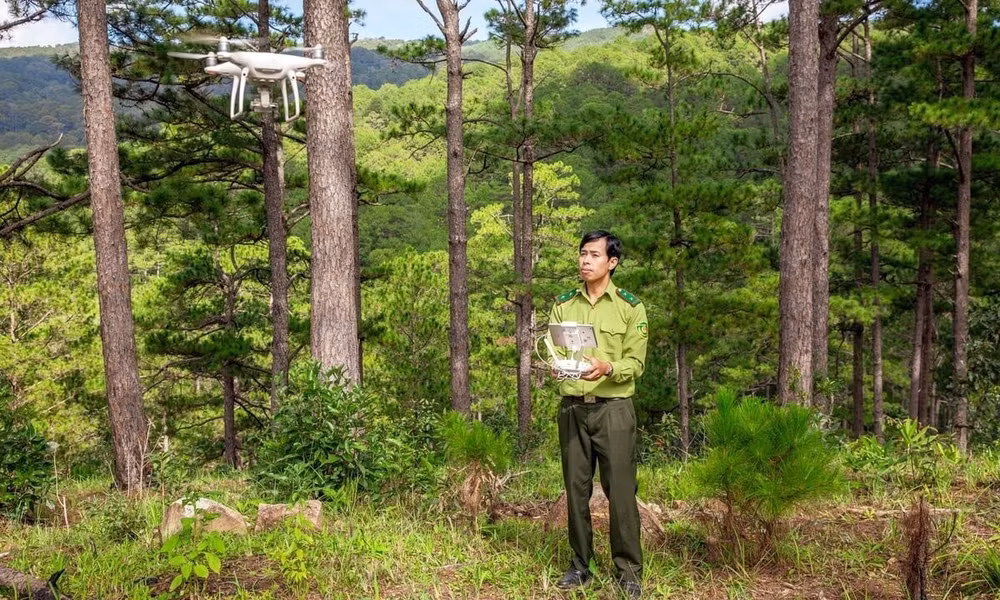 Cán bộ kiểm lâm sử dụng drone để giám sát diễn biến rừng. (Ảnh: Cục Lâm nghiệp và Kiểm lâm)