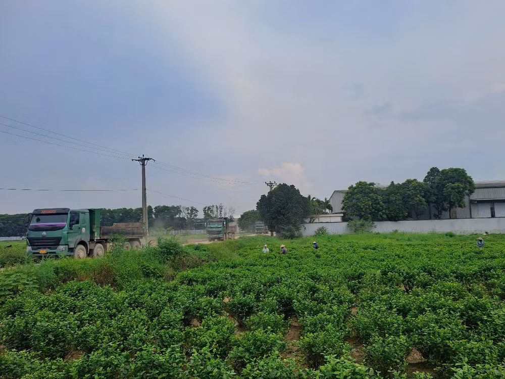 z6721017688551-b0b7cd12ba853e5b0ed4898cc2d2133e.jpg
