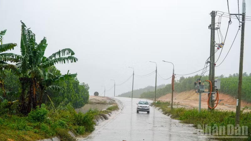 ndo_br_dsc00190.jpg