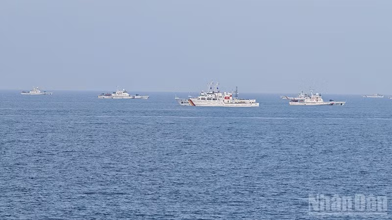 ndo_br_2-6128.jpg