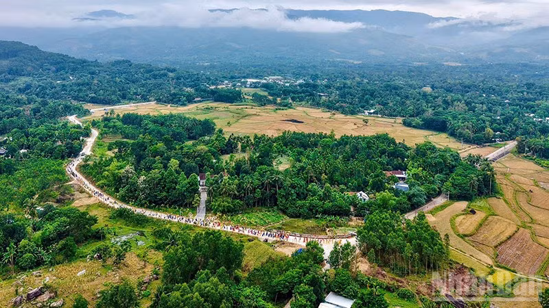 ndo_br_1-3311.jpg