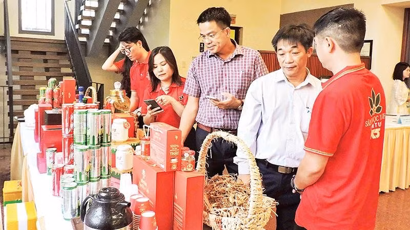 Các sản phẩm OCOP của tỉnh Quảng Ngãi mang đậm bản sắc vùng miền, nổi bật là nhóm nông sản đặc trưng của khu vực miền núi và biển đảo.