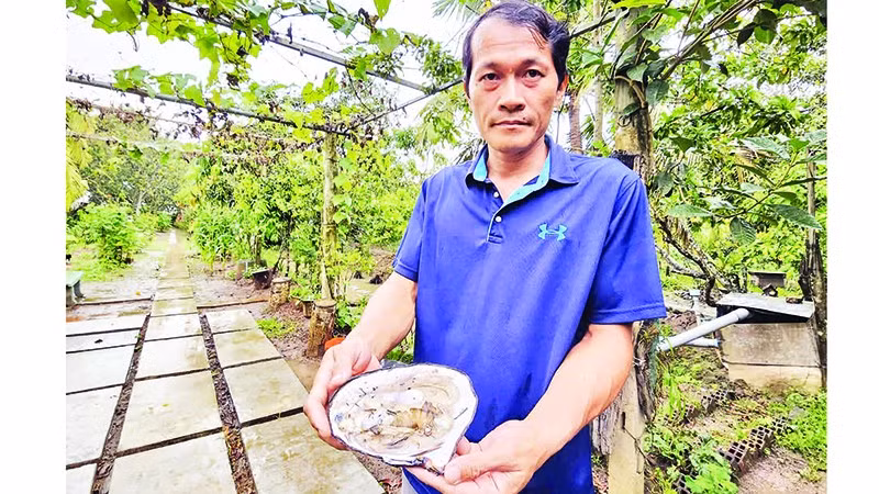 Ngọc trai được chế tác thành những đồ trang sức tinh xảo.