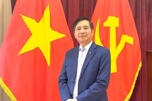 Đại sứ Việt Nam tại Malaysia Đinh Ngọc Linh. (Ảnh: TTXVN)