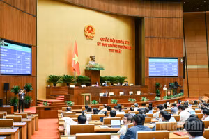 Quốc hội biểu quyết thông qua Luật sửa đổi, bổ sung một số điều của Luật Xuất bản. (Ảnh: DUY LINH)