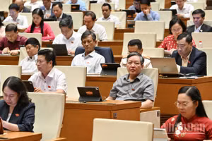 Quốc hội thảo luận ở hội trường. (Ảnh: THỦY NGUYÊN)