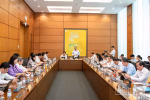 Các đại biểu Quốc hội thảo luận tại tổ. (Ảnh: THỦY NGUYÊN)