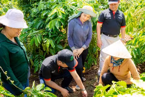 Cán bộ kỹ thuật NESCAFÉ Plan hướng dẫn nông dân thực hành cải tạo đất tại vườn cà-phê - một trong ba nhóm thực hành cốt lõi của mô hình nông nghiệp tái sinh.