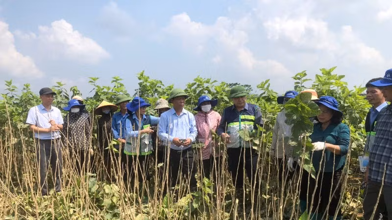 trung-tam-khuyen-nong-quoc-gia-ho-tro-nhan-dan-lao-cai-khoi-phuc-san-xuat-sau-mua-lu-thang-10-nam-2025-7767.jpg