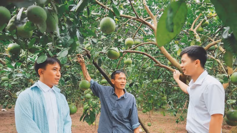 xay-dung-nong-thon-moi-gop-phan-thuc-day-san-xuat-nong-nghiep-o-xa-phuc-loc-ha-noi-anh-nguyen-mai-2731.jpg