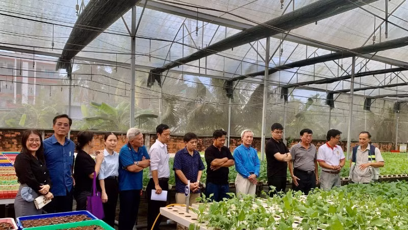 cac-dai-bieu-tham-quan-mo-hinh-trong-rau-thuy-canh-tai-thanh-pho-ho-chi-minh-anh-do-tuan-5745.jpg