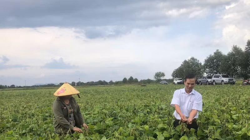 trung-tam-khuyen-nong-quoc-gia-ho-tro-mo-hinh-trong-dau-xanh-tai-ha-tinh-32.jpg