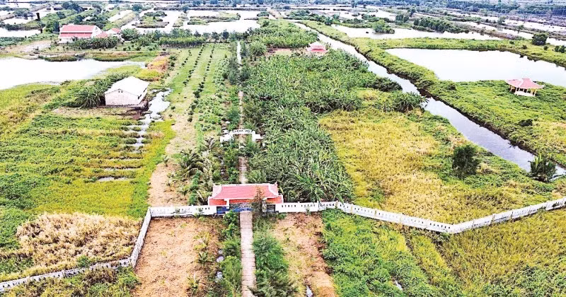 Một góc Di tích lịch sử quốc gia Biệt khu Hải Yến-Bình Hưng (xã Tân Hải, huyện Phú Tân, tỉnh Cà Mau).