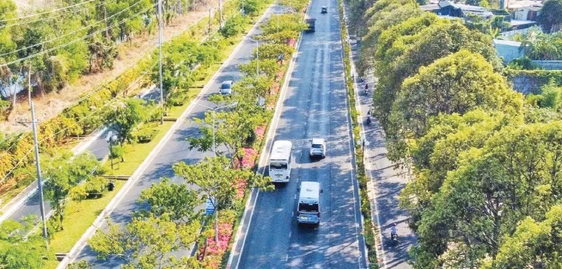 Mầu xanh đô thị đường 3/2, thành phố Vũng Tàu.