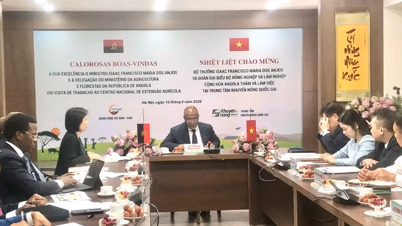Quang cảnh buổi làm việc.