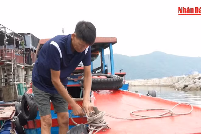 [Video] Biển Đông có khả năng xuất hiện bão hoặc áp thấp nhiệt đới, miền Trung mưa lớn diện rộng một tuần