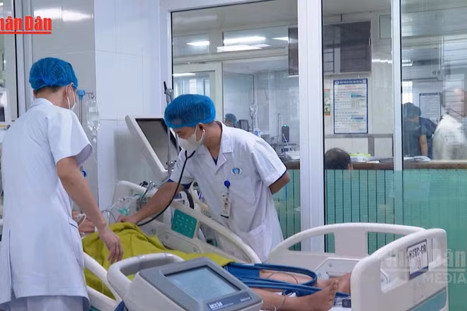 [Video] Sốc nhiệt nguy kịch do lao động giữa nắng nóng gay gắt