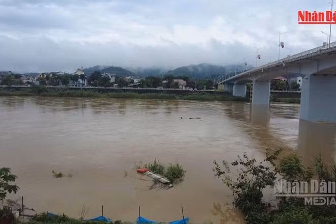 [Video] Khẩn trương triển khai phương án ứng phó lũ trên các tuyến sông