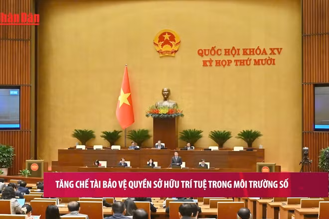 [Video] Tăng chế tài bảo vệ quyền sở hữu trí tuệ trong môi trường số 