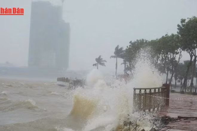 [Video] Đà Nẵng lập 3 sở chỉ huy tiền phương, chủ động ứng phó bão số 12