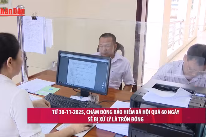 [Video] Từ 30/11, chậm đóng bảo hiểm xã hội quá 60 ngày sẽ bị xử lý là trốn đóng 