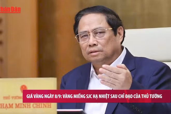 [Video] Giá vàng SJC hạ nhiệt sau chỉ đạo của Thủ tướng 