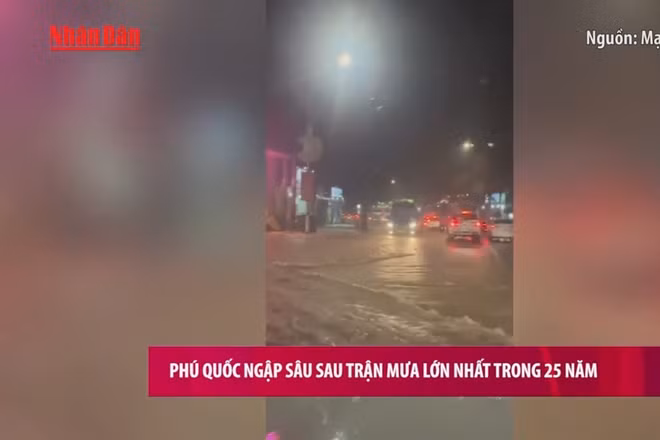 [Video] Phú Quốc ngập sâu sau trận mưa lớn nhất trong 25 năm