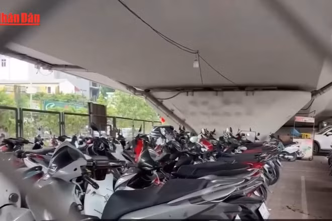 [Video] Hà Nội xóa bãi trông giữ xe dưới gầm cầu cạn trước 30/10 