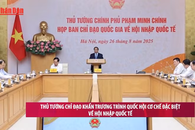 [Video] Thủ tướng chỉ đạo khẩn trương trình Quốc hội cơ chế đặc biệt về hội nhập quốc tế
