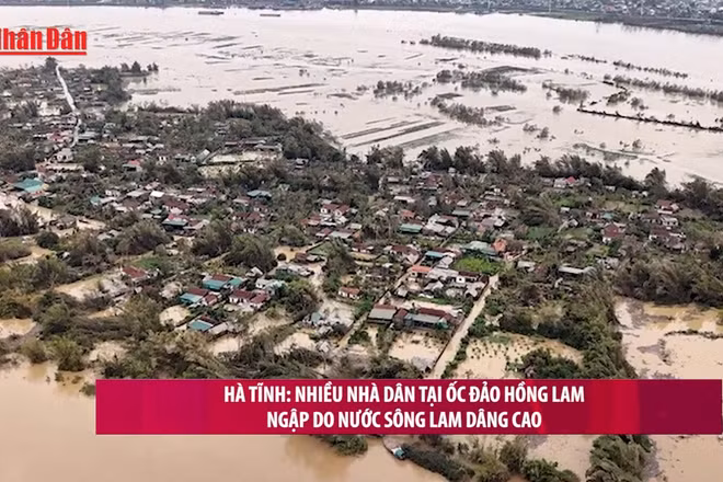 [Video] Hà Tĩnh: Nhiều nhà dân tại ốc đảo Hồng Lam ngập do nước sông Lam dâng cao 