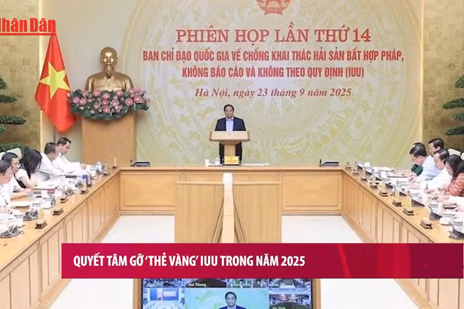 [Video] Quyết tâm gỡ ‘thẻ vàng’ IUU trong năm 2025