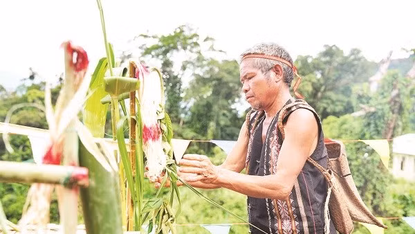 Già làng Xơ Đăng làm lễ khai rừng.
