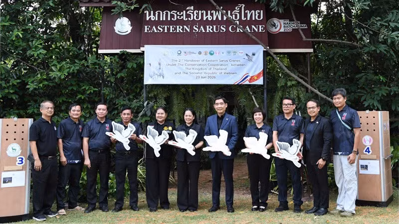 Lễ bàn giao 6 cá thể sếu đầu đỏ tại Vườn thú Nakhon Ratchasima. (Ảnh: XUÂN SƠN)
