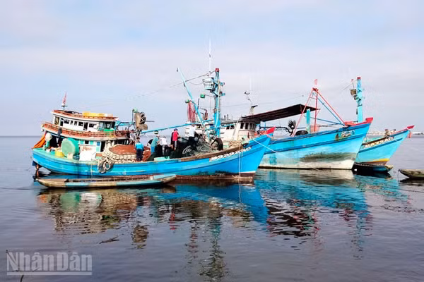 Tàu đánh bắt thủy sản ở An Giang.