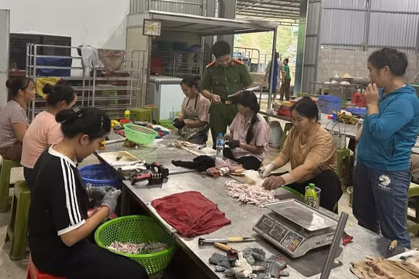 Lực lượng chức năng kiểm tra cơ sở sản xuất, chế biến chân gà tại thôn Bản Phạc, xã Quốc Khánh, tỉnh Lạng Sơn. (Ảnh: ANH KHOA)