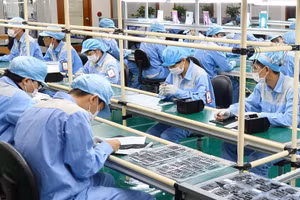 Kim ngạch nhập khẩu của Việt Nam tập trung chủ yếu vào các nhóm hàng phục vụ sản xuất như máy vi tính, sản phẩm điện tử và linh kiện (hơn 99,2 tỷ USD); máy móc, thiết bị và phụ tùng (hơn 31,1 tỷ USD).