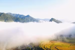 Cánh đồng Lìm Mông đẹp như tranh thủy mạc.