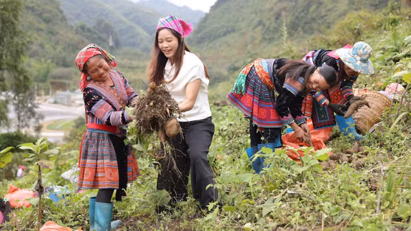Hình ảnh bà con dân tộc thiểu số xã Sìn Hồ, tỉnh Lai Châu livestream bán nông sản trên nền tảng công nghệ số.