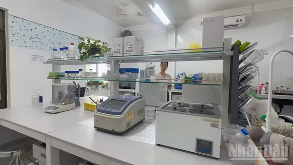Hệ thống thiết bị kiểm tra ADN và saponin sâm Ngọc Linh tại Trung tâm Ứng dụng khoa học công nghệ tỉnh Quảng Ngãi.