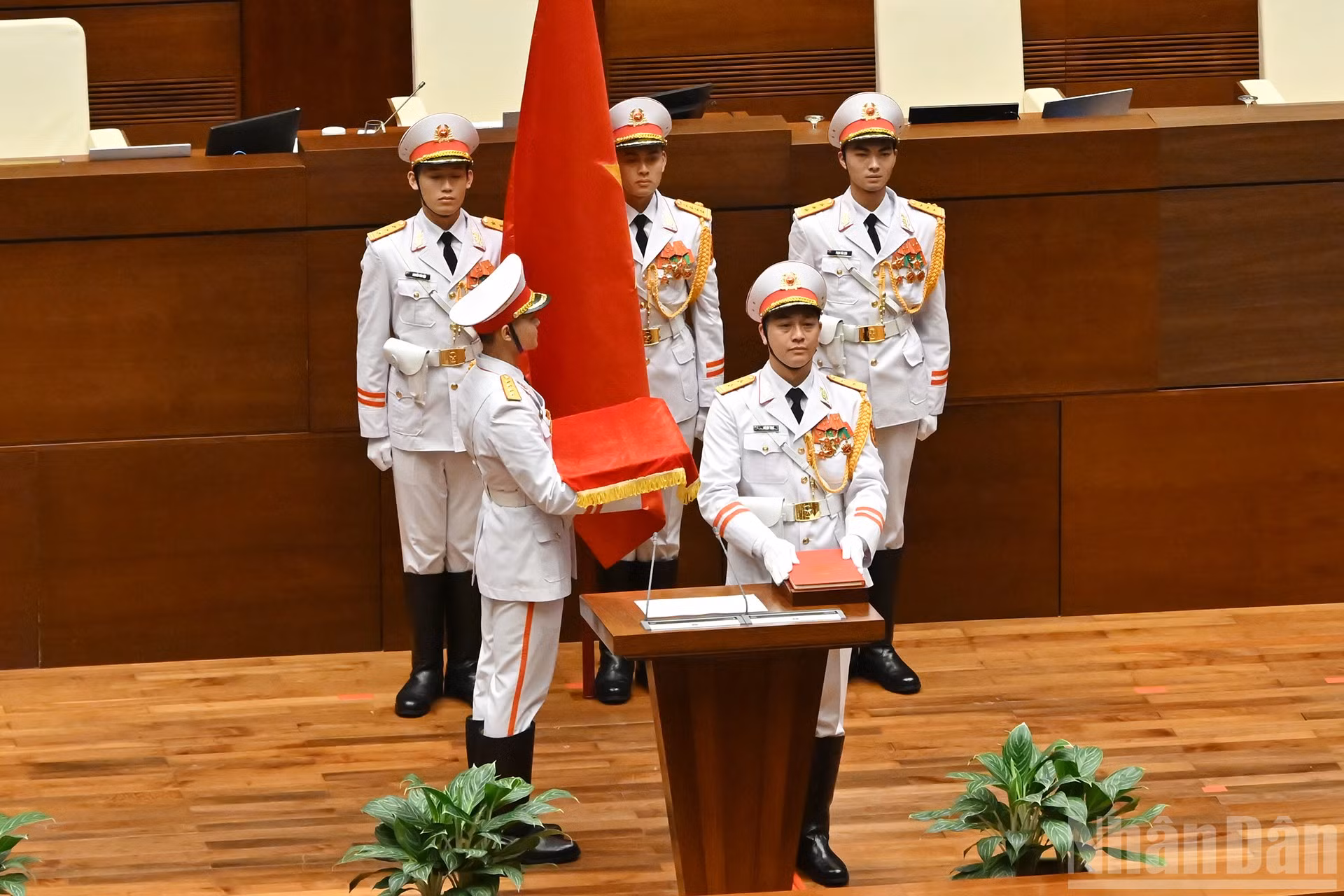 ndo_br_9-6910.jpg