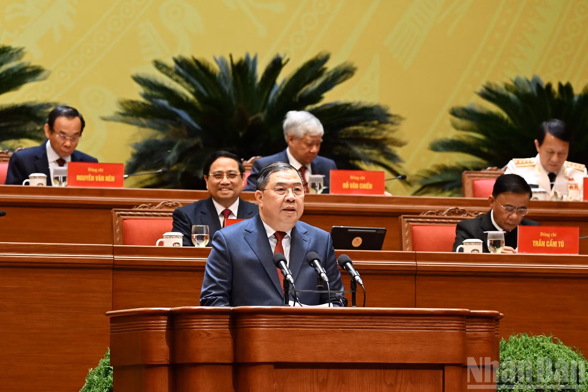 ndo_br_11-8278.jpg