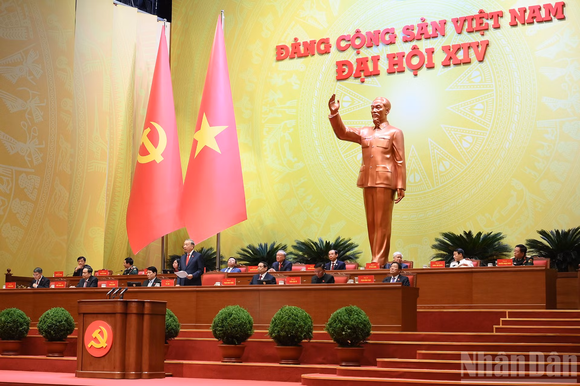 ndo_br_2-9161.jpg