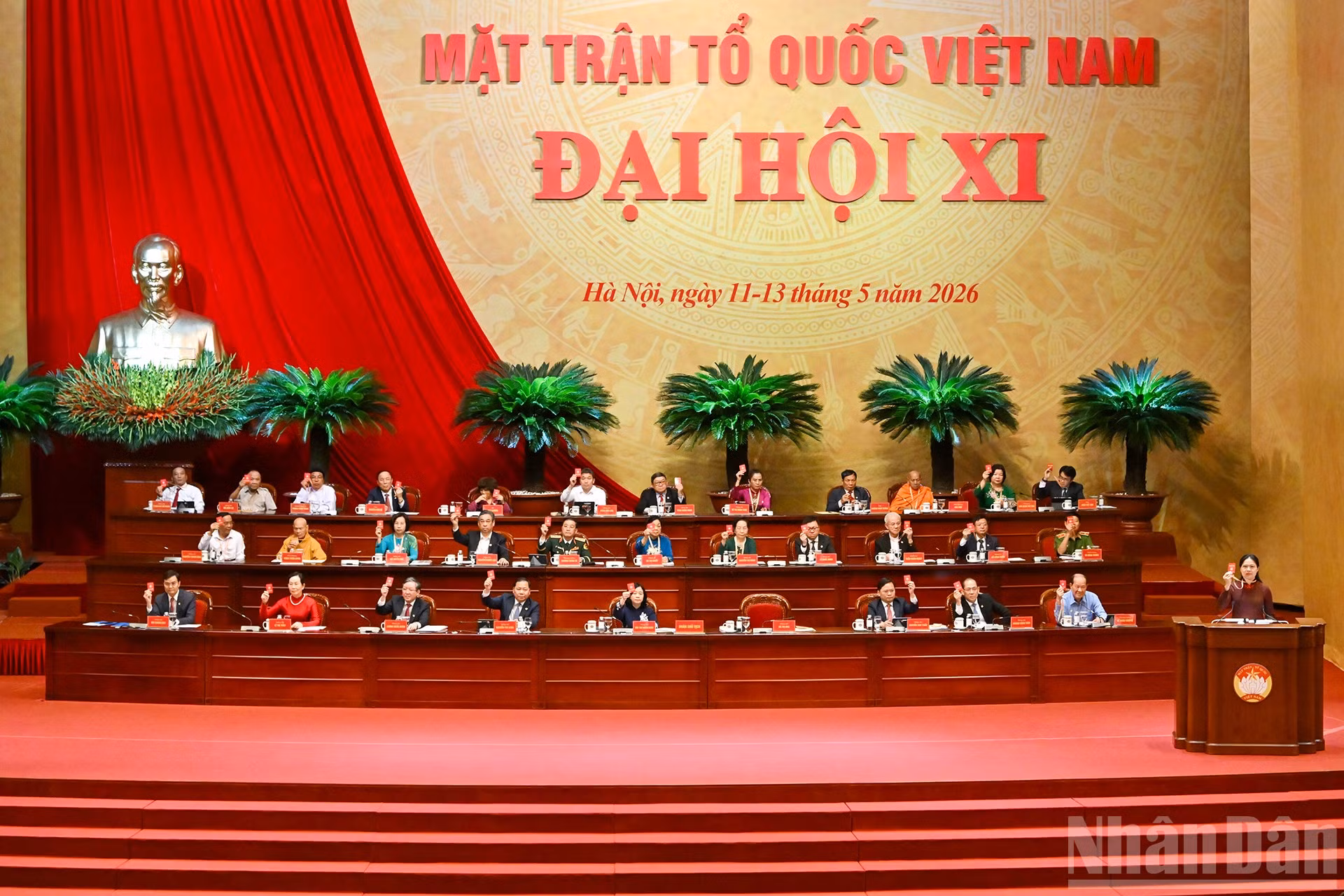ndo_br_10-7800.jpg