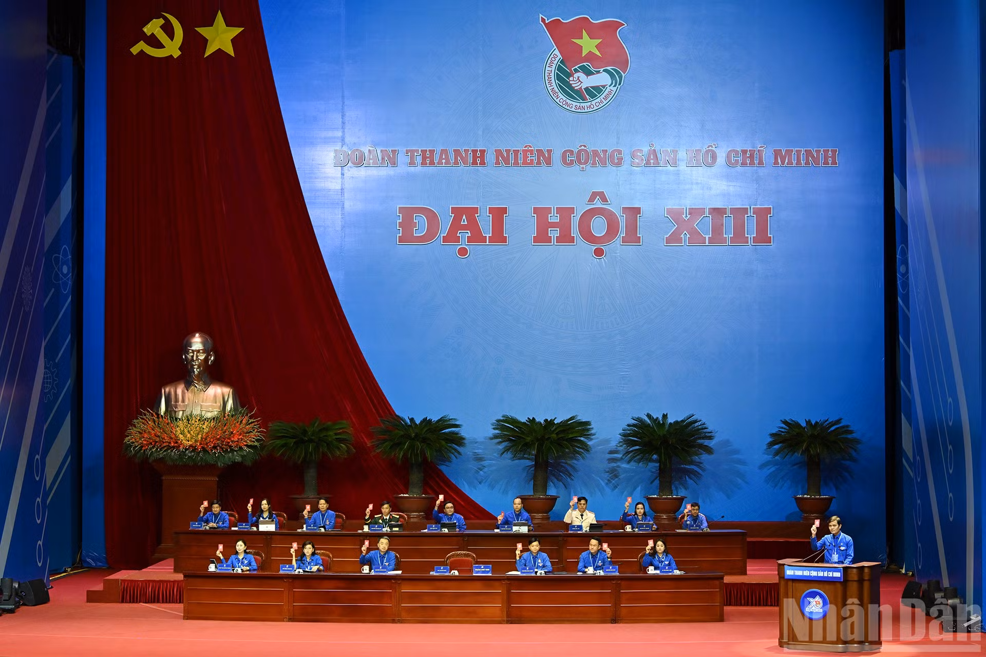 ndo_br_8-6555.jpg