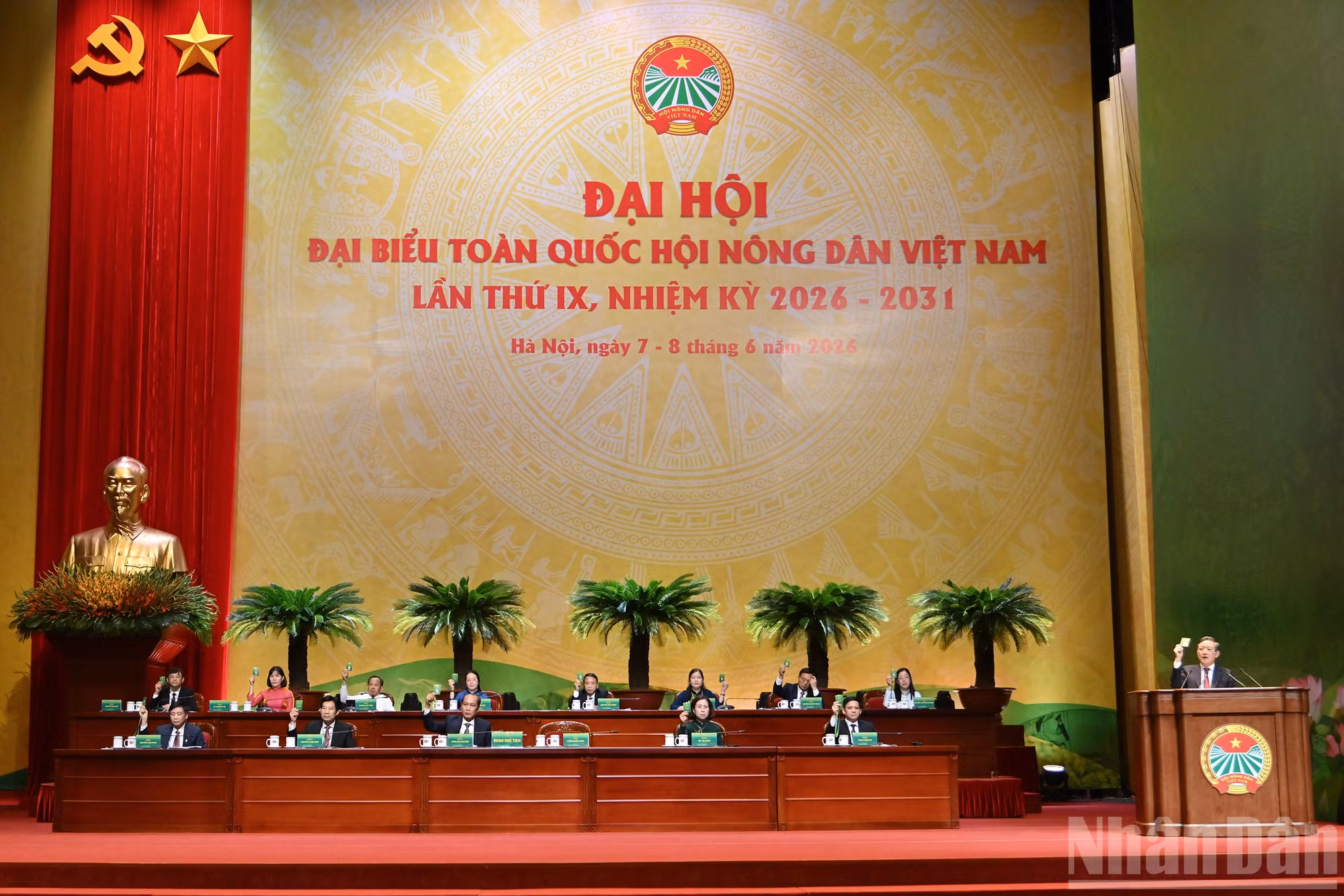 ndo_br_11-1338.jpg