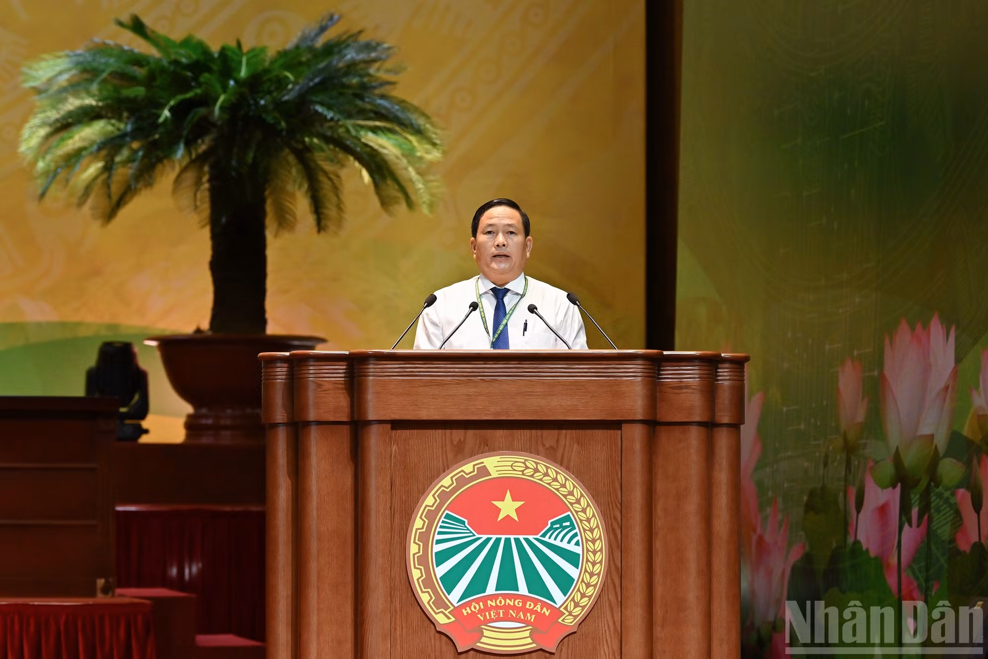 ndo_br_5-3507.jpg