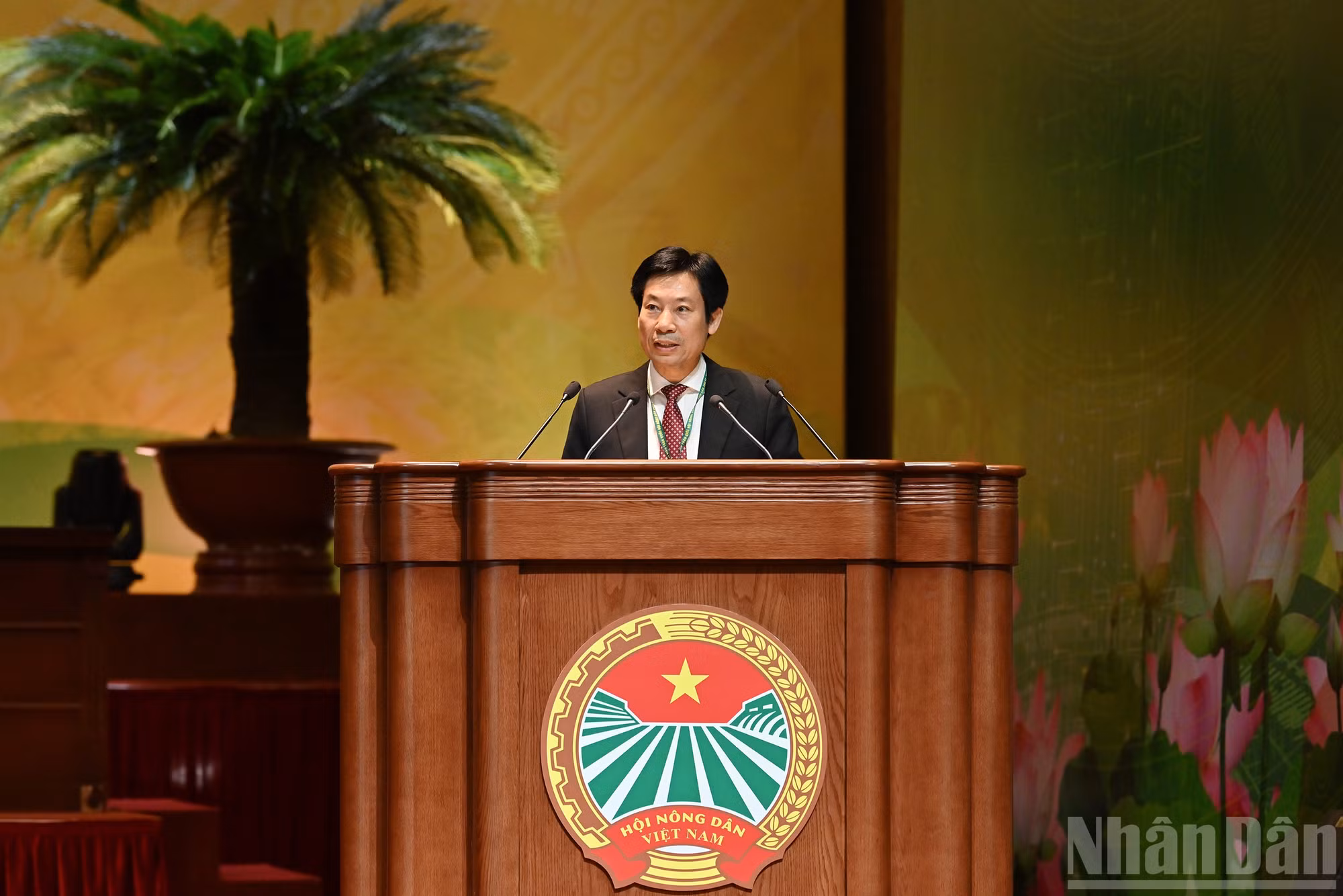 ndo_br_3-7066.jpg