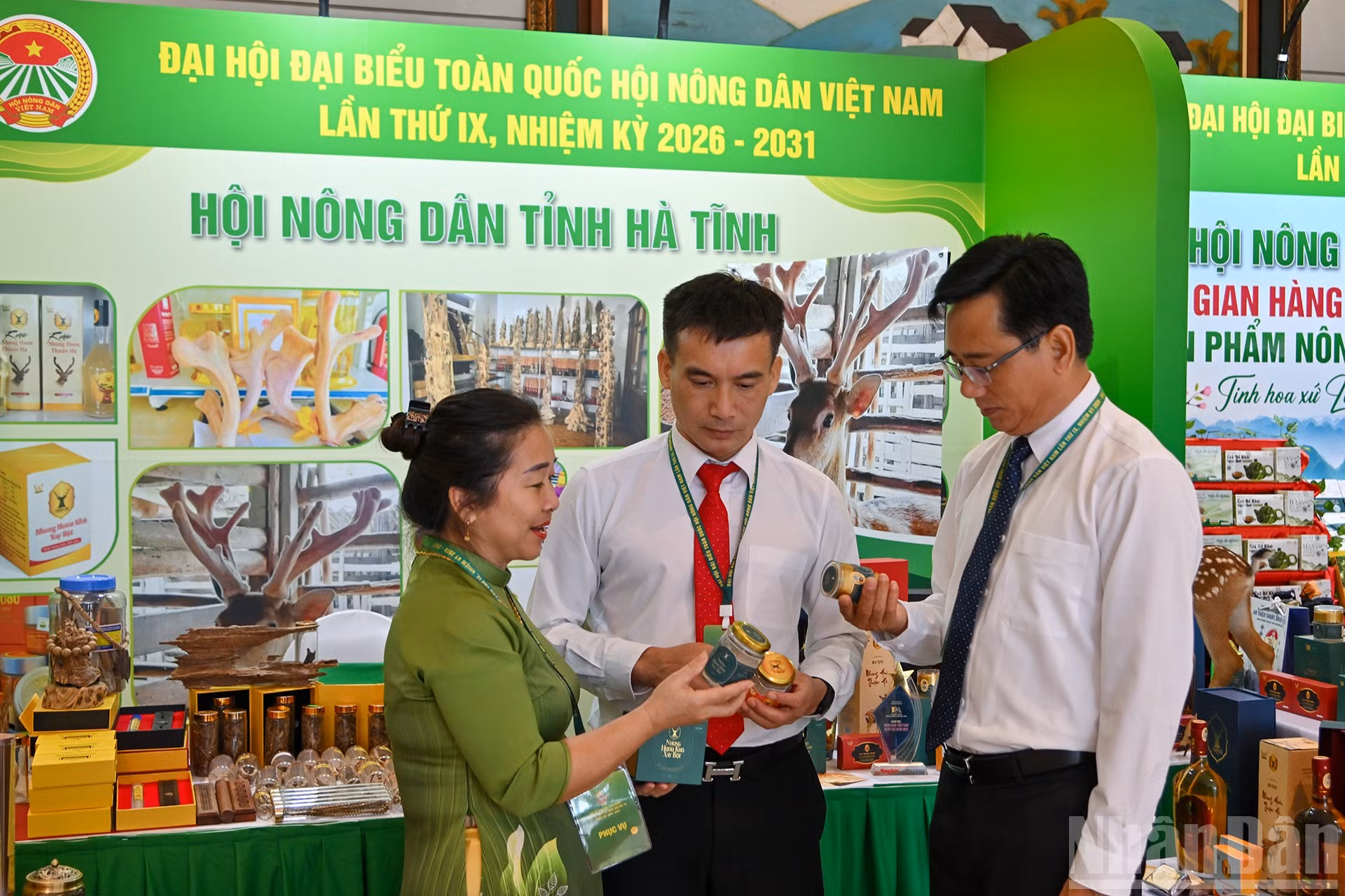 ndo_br_12-3054.jpg
