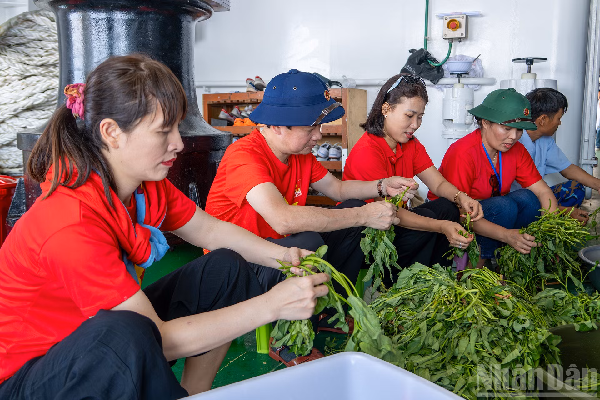 ndo_br_6.jpg