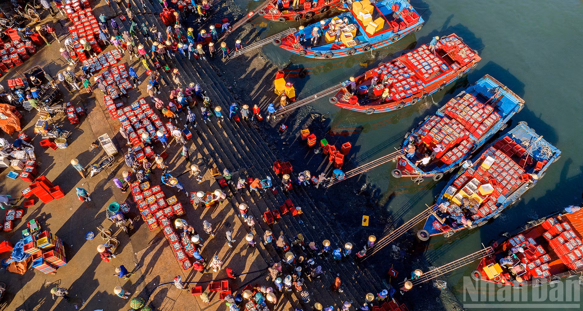 ndo_br_4-duoc-mua-ca-long.jpg